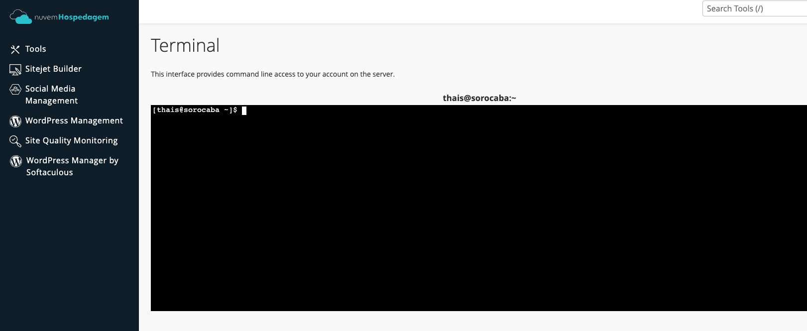 Terminal aberto - prompt pronto